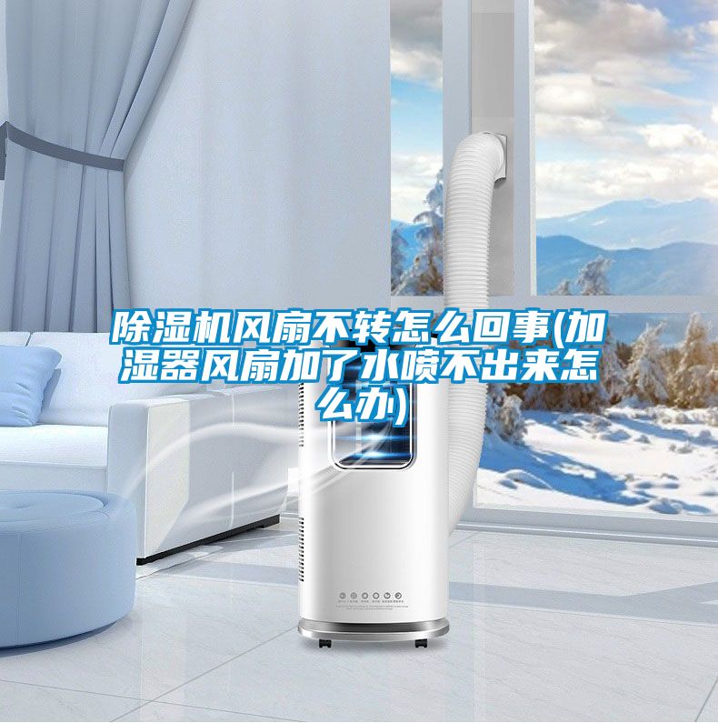 除濕機風扇不轉怎么回事(加濕器風扇加了水噴不出來怎么辦)
