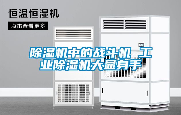 除濕機中的戰斗機 工業除濕機大顯身手
