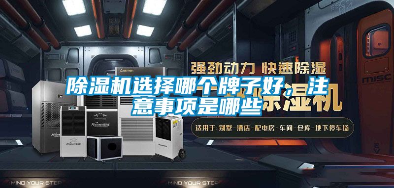 除濕機選擇哪個牌子好,注意事項是哪些