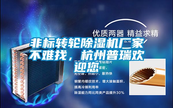 非標轉輪除濕機廠家不難找,杭州普瑞歡迎您