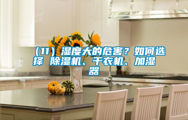 (11)濕度大的危害?如何選擇 除濕機、干衣機、加濕器
