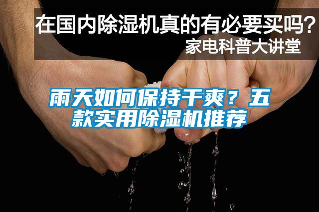 雨天如何保持干爽？五款實用除濕機推薦