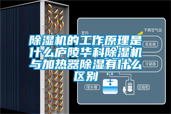 除濕機的工作原理是什么廬陵華科除濕機與加熱器除濕有什么區別