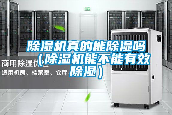 除濕機真的能除濕嗎(除濕機能不能有效除濕)