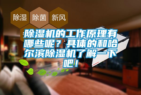 除濕機的工作原理有哪些呢?具體的和哈爾濱除濕機了解一下吧!