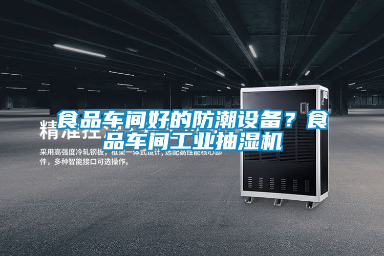 食品車間好的防潮設備?食品車間工業抽濕機