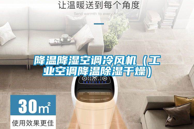 降溫降濕空調冷風機(工業空調降溫除濕干燥)