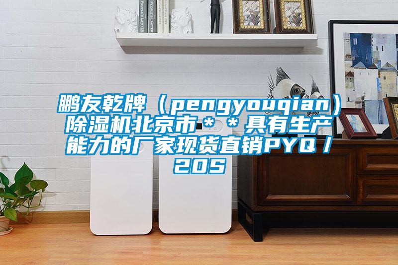 鵬友乾牌(pengyouqian)除濕機北京市**具有生產(chǎn)能力的廠家現(xiàn)貨直銷PYQ/20S