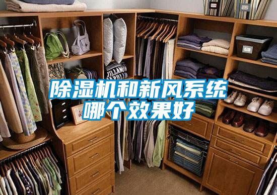 除濕機和新風系統哪個效果好