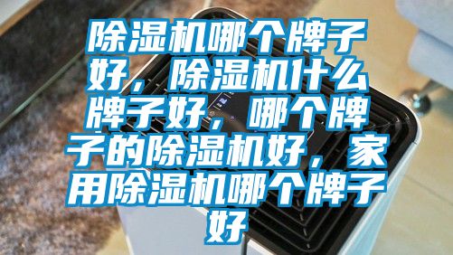 除濕機哪個牌子好，除濕機什么牌子好，哪個牌子的除濕機好，家用除濕機哪個牌子好