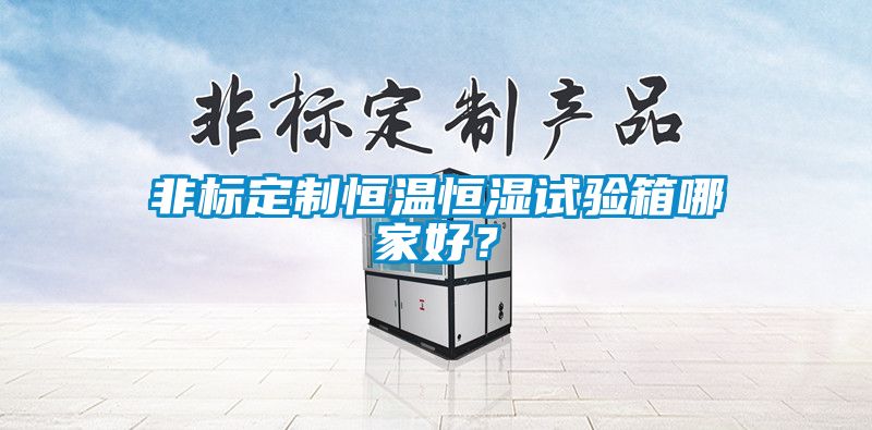 非標定制恒溫恒濕試驗箱哪家好?