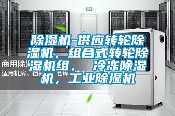 除濕機(jī)-供應(yīng)轉(zhuǎn)輪除濕機(jī)，組合式轉(zhuǎn)輪除濕機(jī)組， 冷凍除濕機(jī)，工業(yè)除濕機(jī)