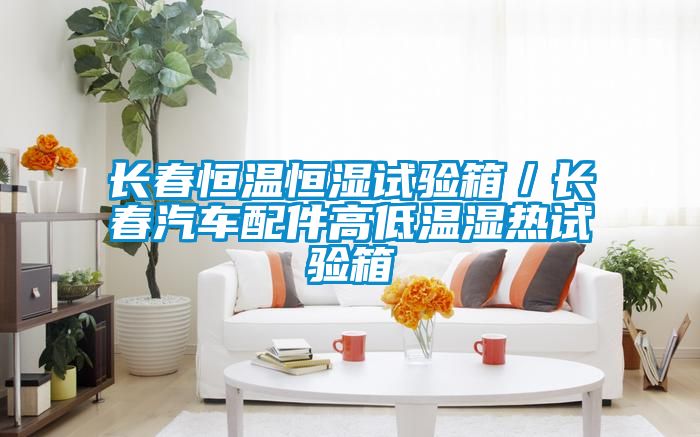 長春恒溫恒濕試驗(yàn)箱／長春汽車配件高低溫濕熱試驗(yàn)箱