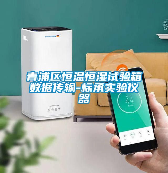 青浦區(qū)恒溫恒濕試驗(yàn)箱數(shù)據(jù)傳輸-標(biāo)承實(shí)驗(yàn)儀器