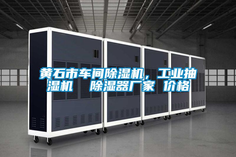黃石市車間除濕機,工業(yè)抽濕機 除濕器廠家 價格