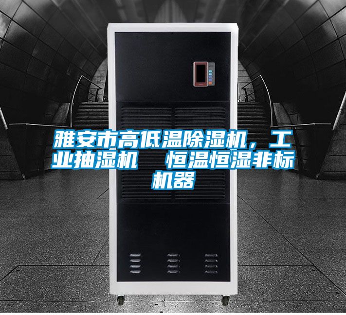 雅安市高低溫除濕機(jī)，工業(yè)抽濕機(jī)  恒溫恒濕非標(biāo)機(jī)器