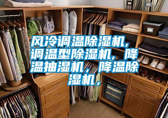 風(fēng)冷調(diào)溫除濕機(jī), 調(diào)溫型除濕機(jī), 降溫抽濕機(jī)，降溫除濕機(jī)，