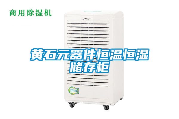 黃石元器件恒溫恒濕儲存柜